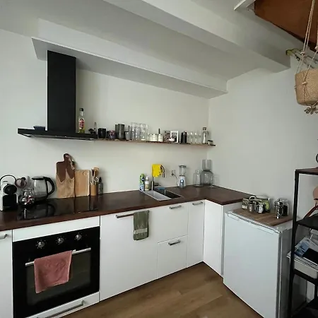 Cute House In The Centre With Terrace * The Hague