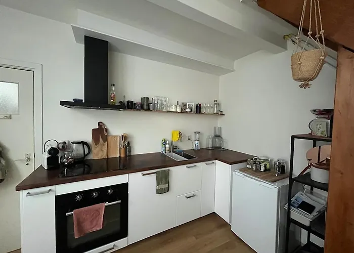 Cute House In The Centre With Terrace * Гаага