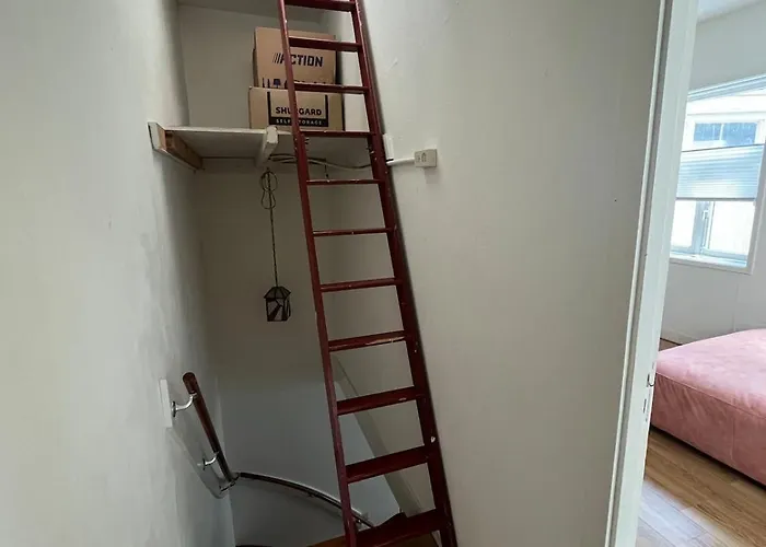 Cute House In The Centre With Terrace Апартаменты Гаага