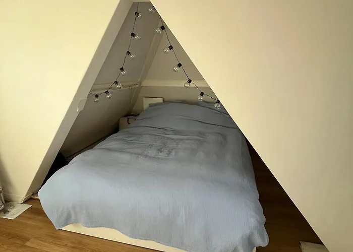 Cute House In The Centre With Terrace * La Haya